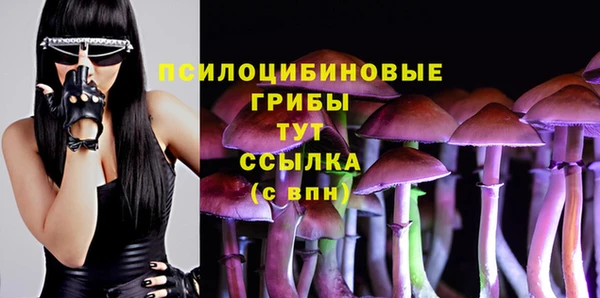ECSTASY Белоозёрский