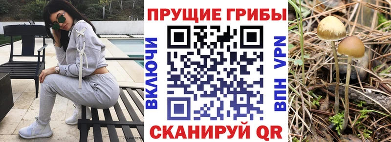 МЕГА зеркало Краснознаменск Псилоцибиновые грибы мухоморы